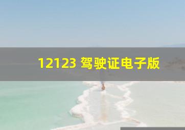 12123 驾驶证电子版